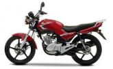 Yamaha YBR 06